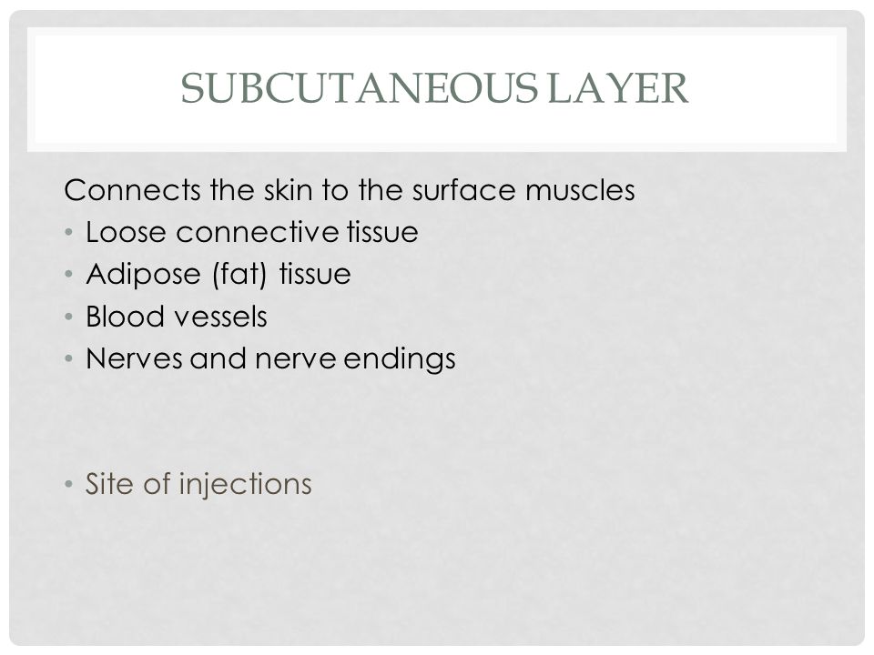 SUBCUTANEOUS LAYER Connects the skin to the surface muscles Loose connective tissue Adipose (fat) tissue Blood vessels Nerves and nerve endings Site of injections