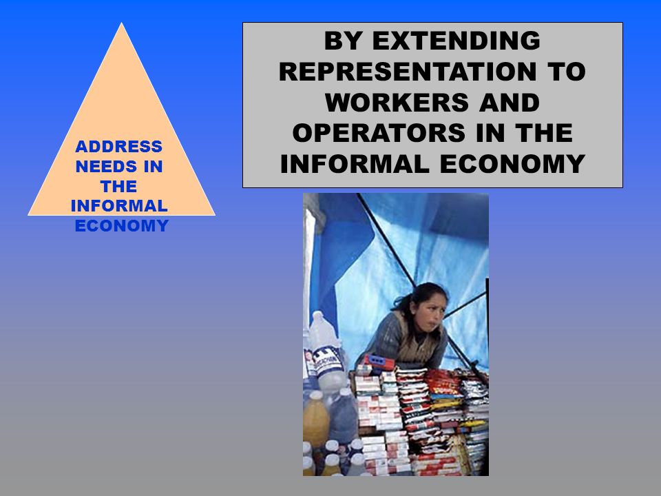 ADDRESS NEEDS IN THE INFORMAL ECONOMY BY EXTENDING REPRESENTATION TO WORKERS AND OPERATORS IN THE INFORMAL ECONOMY