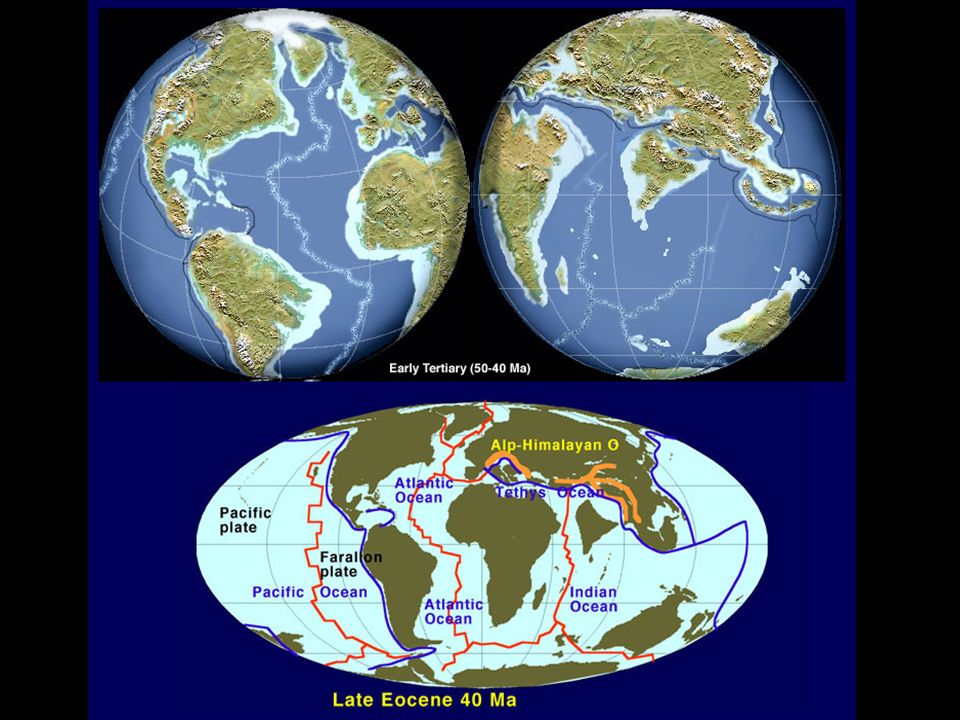 Geological History of Panama Great American Biotic Exchange - ppt video ...