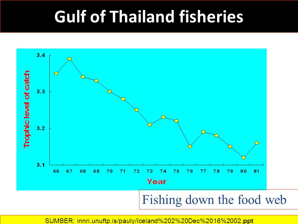 Gulf of Thailand fisheries Science, October 1998 Fishing down the food web SUMBER: innri.unuftp.is/pauly/Iceland%202%20Dec%2016%2002.ppt‎