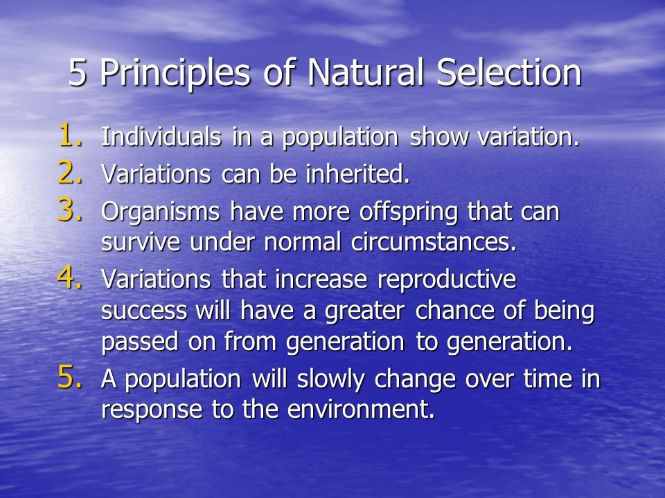 What is Natural Selection. Species evolve over time.