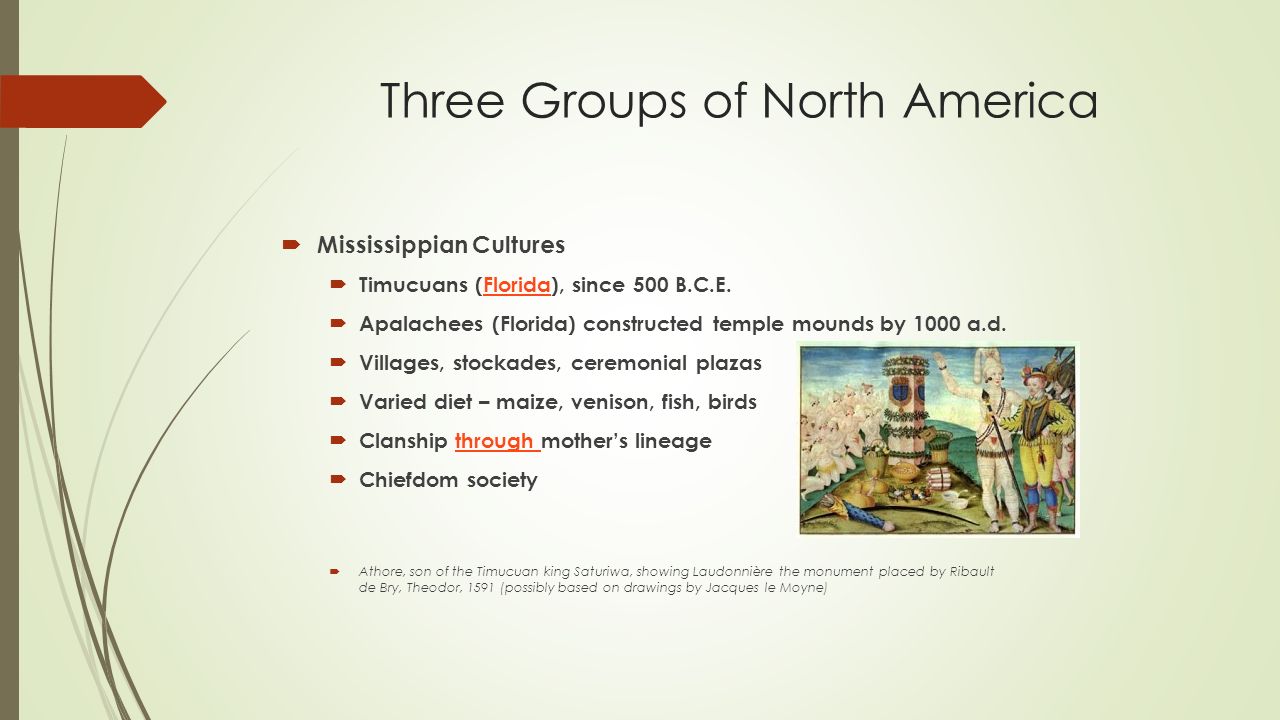 Three Groups of North America  Mississippian Cultures  Timucuans (Florida), since 500 B.C.E.Florida  Apalachees (Florida) constructed temple mounds by 1000 a.d.