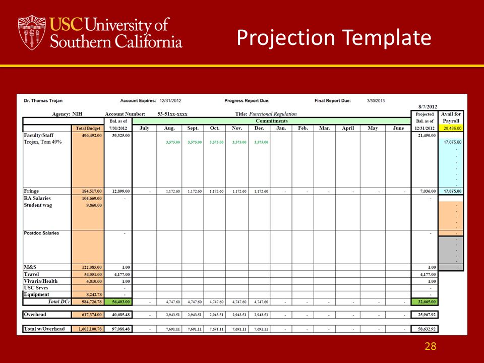 Projection Template 28