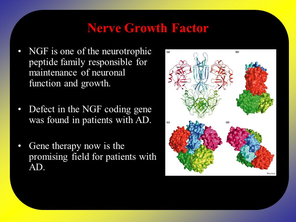 Nerve Growth Factor NGF is one of the neurotrophic peptide family responsible for maintenance of neuronal function and growth.