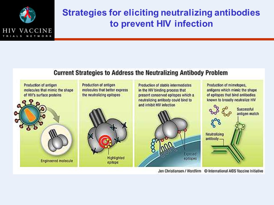 Strategies for eliciting neutralizing antibodies to prevent HIV infection
