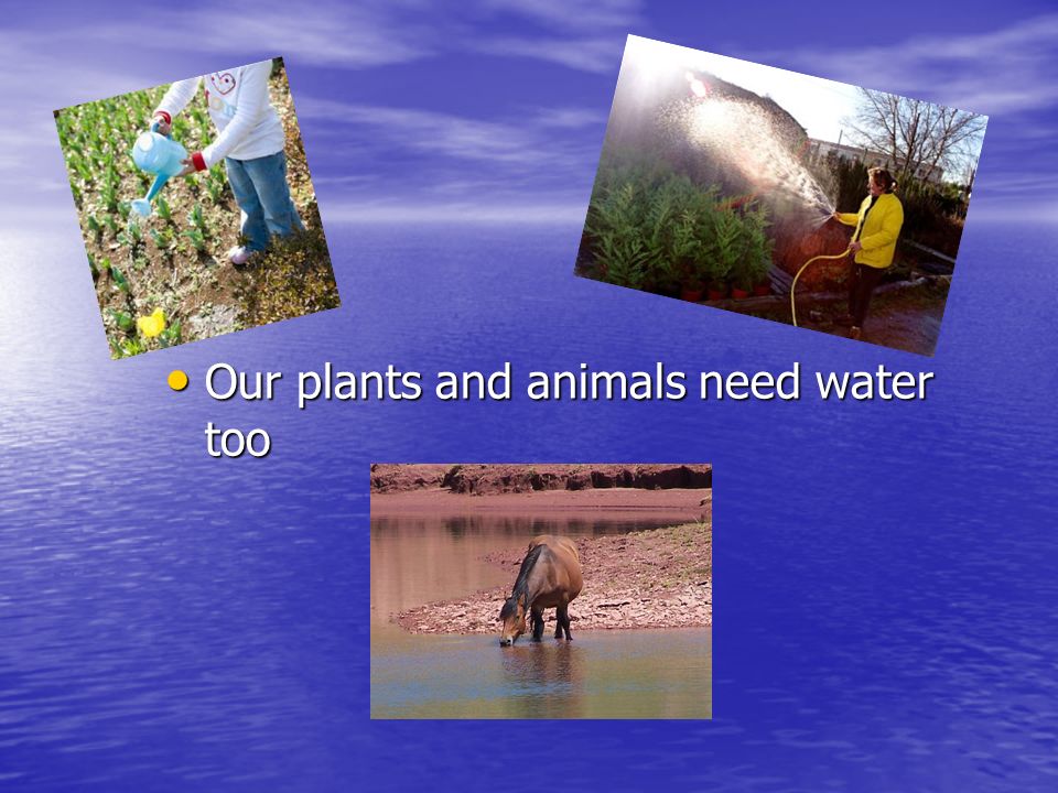 WATER THE STORY OF A DROP. HOW IMPORTANT IS WATER? Water is essential for  life, and it is present everywhere: -W-W-W-Water covers 70% of our planet.  - ppt download