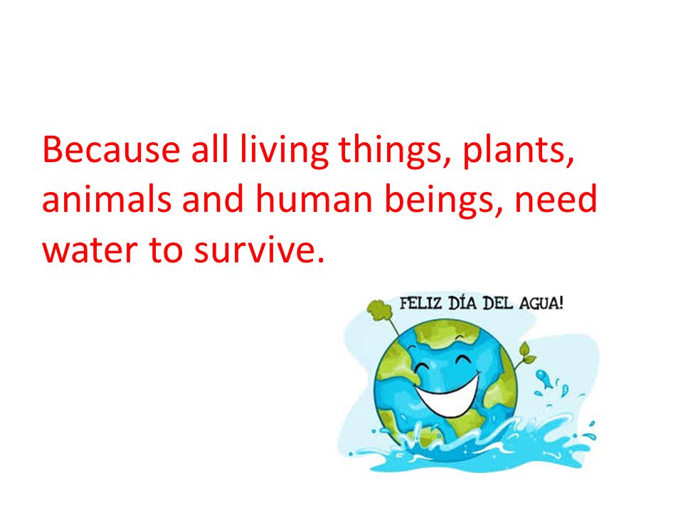 WHY IS WATER IMPORTANT ON EARTH?. Because all living things, plants, animals  and human beings, need water to survive. - ppt download