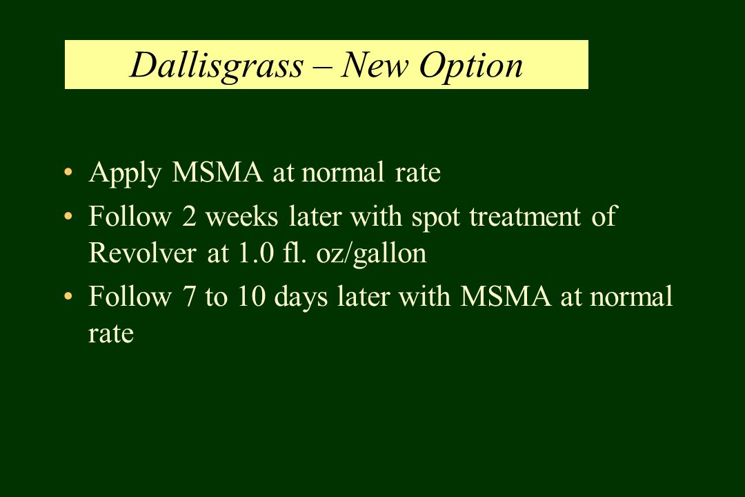 Dallisgrass – New Option Apply MSMA at normal rate Follow 2 weeks later with spot treatment of Revolver at 1.0 fl.