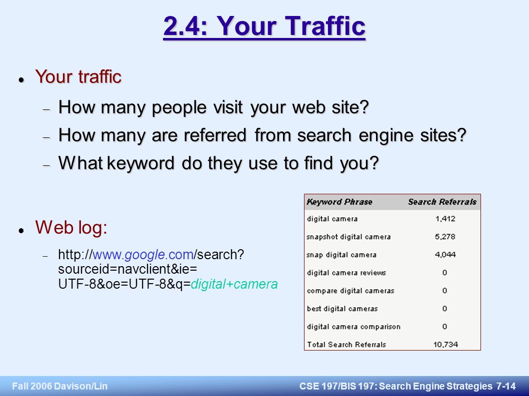 Fall 2006 Davison/LinCSE 197/BIS 197: Search Engine Strategies : Your Traffic Your traffic Your traffic  How many people visit your web site.