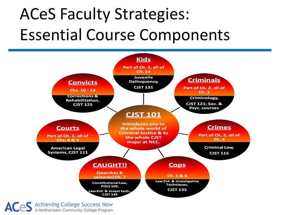 ACeS Faculty Strategies: Essential Course Components