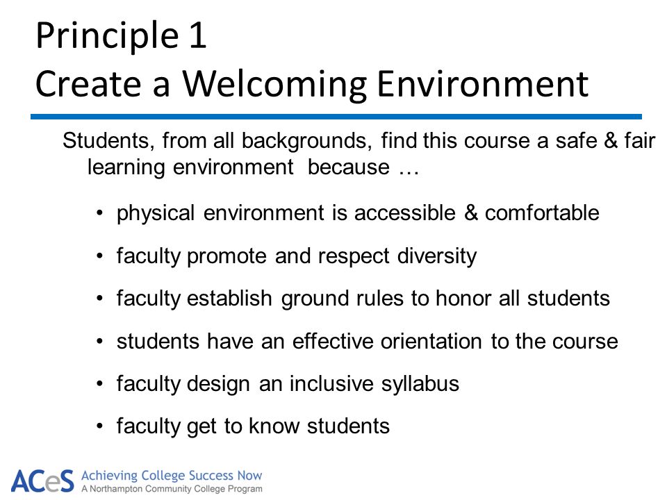 Principle 1 Create a Welcoming Environment Students, from all backgrounds, find this course a safe & fair learning environment because … physical environment is accessible & comfortable faculty promote and respect diversity faculty establish ground rules to honor all students students have an effective orientation to the course faculty design an inclusive syllabus faculty get to know students