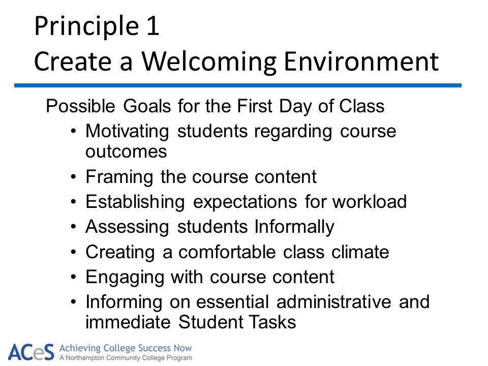 Principle 1 Create a Welcoming Environment Possible Goals for the First Day of Class Motivating students regarding course outcomes Framing the course content Establishing expectations for workload Assessing students Informally Creating a comfortable class climate Engaging with course content Informing on essential administrative and immediate Student Tasks