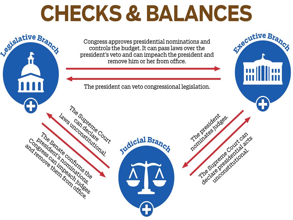 Checks And Balances Chart