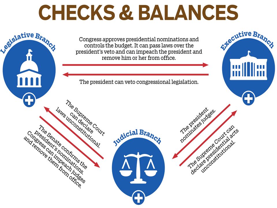 Checks Balances Chart