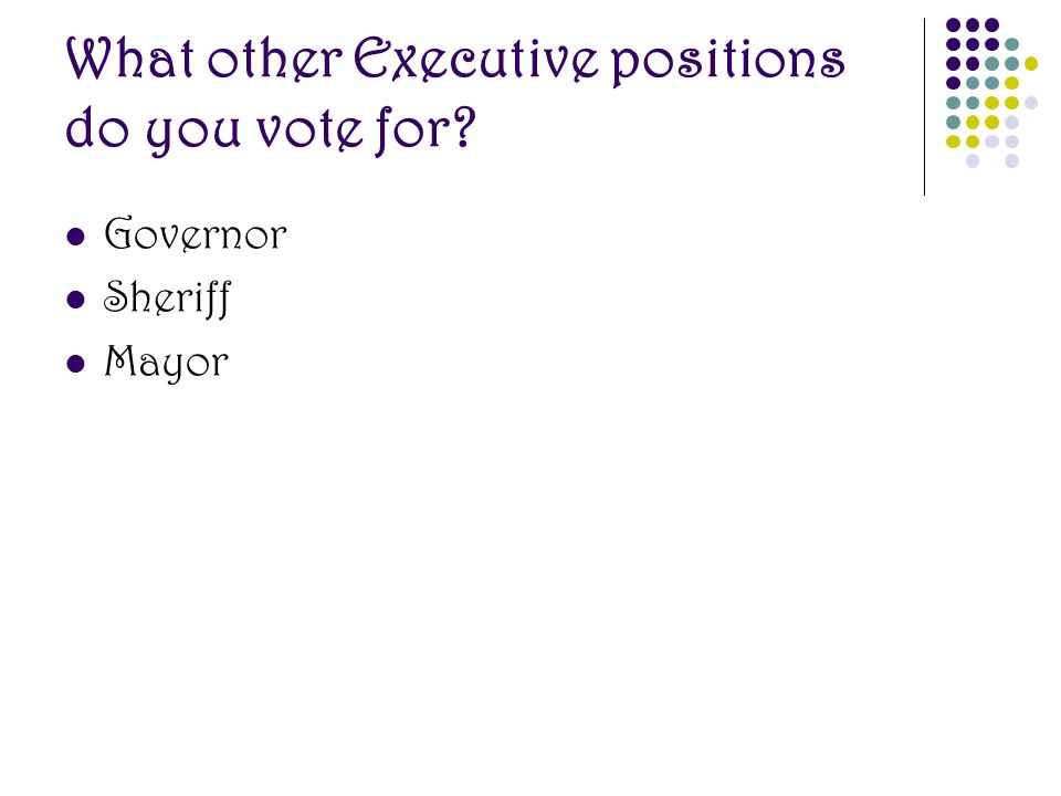 What other Executive positions do you vote for Governor Sheriff Mayor