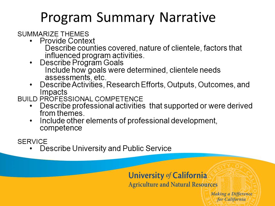 Program Summary Narrative SUMMARIZE THEMES Provide Context Describe counties covered, nature of clientele, factors that influenced program activities.