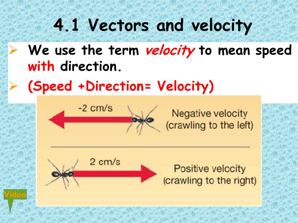 4.1 Vectors and velocity  We use the term velocity to mean speed with direction.