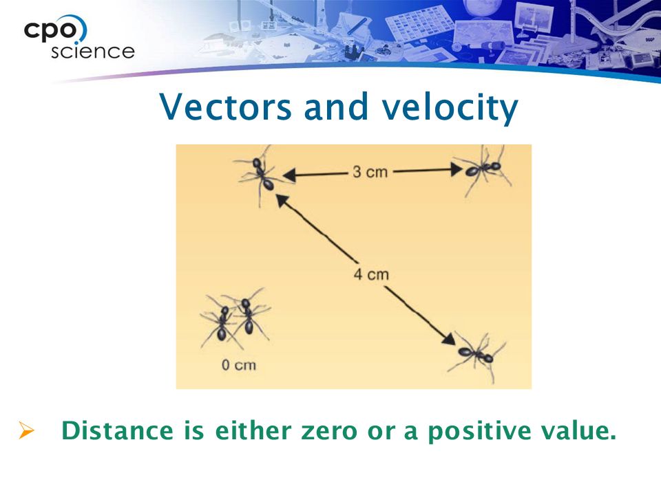 Vectors and velocity  Distance is either zero or a positive value.