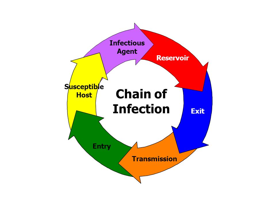 Chain Of Infection Chart