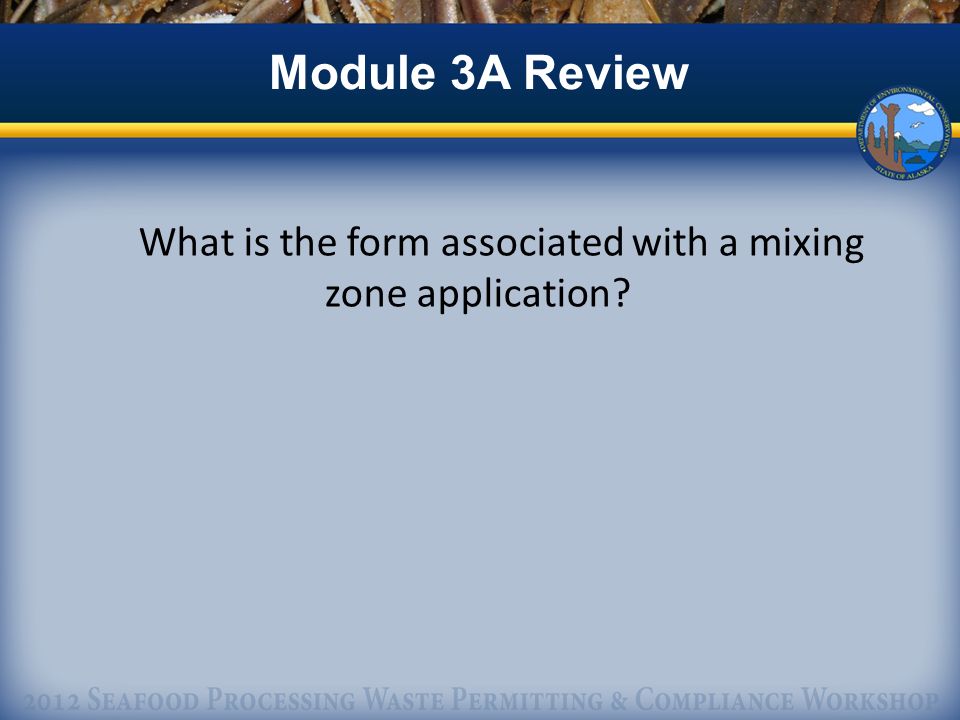 Module 3A Review What is the form associated with a mixing zone application
