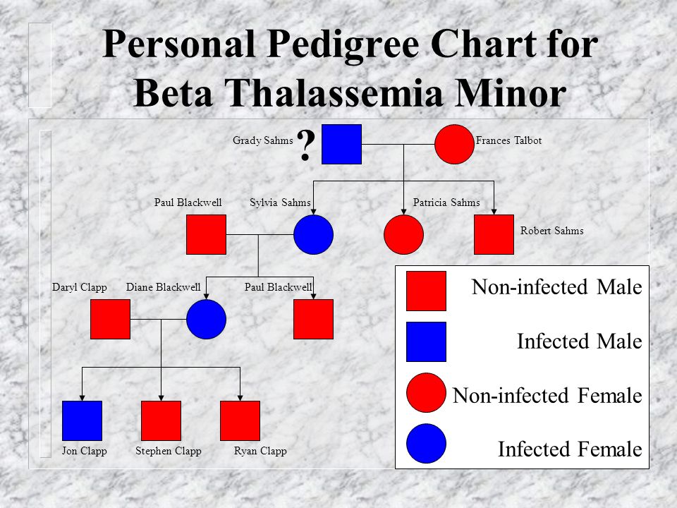 Thalassemia Chart