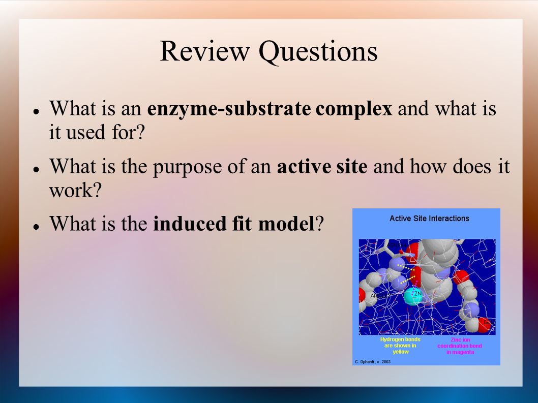 Review Questions What is an enzyme-substrate complex and what is it used for.