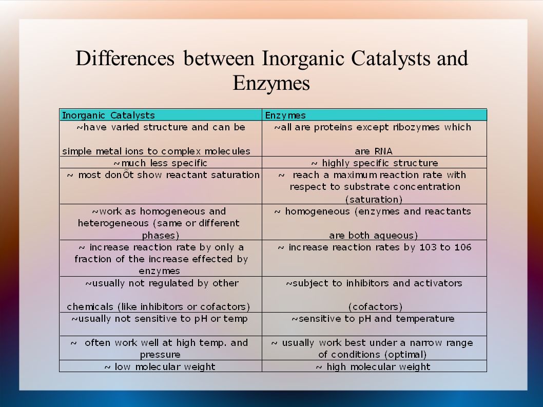 Differences between Inorganic Catalysts and Enzymes
