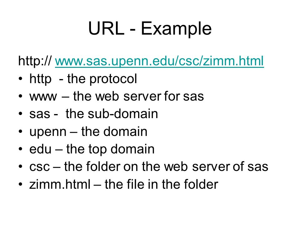 URL - Example     http - the protocol www – the web server for sas sas - the sub-domain upenn – the domain edu – the top domain csc – the folder on the web server of sas zimm.html – the file in the folder