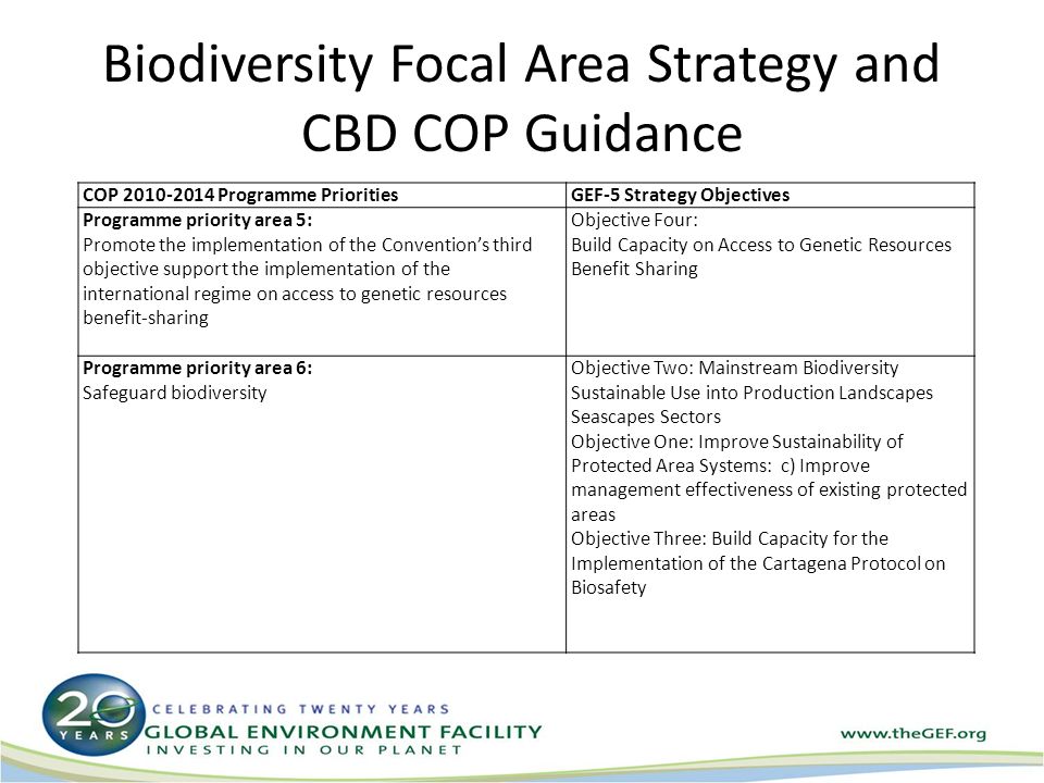 Biodiversity Focal Area Strategy and CBD COP Guidance COP Programme PrioritiesGEF-5 Strategy Objectives Programme priority area 5: Promote the implementation of the Convention’s third objective support the implementation of the international regime on access to genetic resources benefit ‑ sharing Objective Four: Build Capacity on Access to Genetic Resources Benefit Sharing Programme priority area 6: Safeguard biodiversity Objective Two: Mainstream Biodiversity Sustainable Use into Production Landscapes Seascapes Sectors Objective One: Improve Sustainability of Protected Area Systems: c) Improve management effectiveness of existing protected areas Objective Three: Build Capacity for the Implementation of the Cartagena Protocol on Biosafety