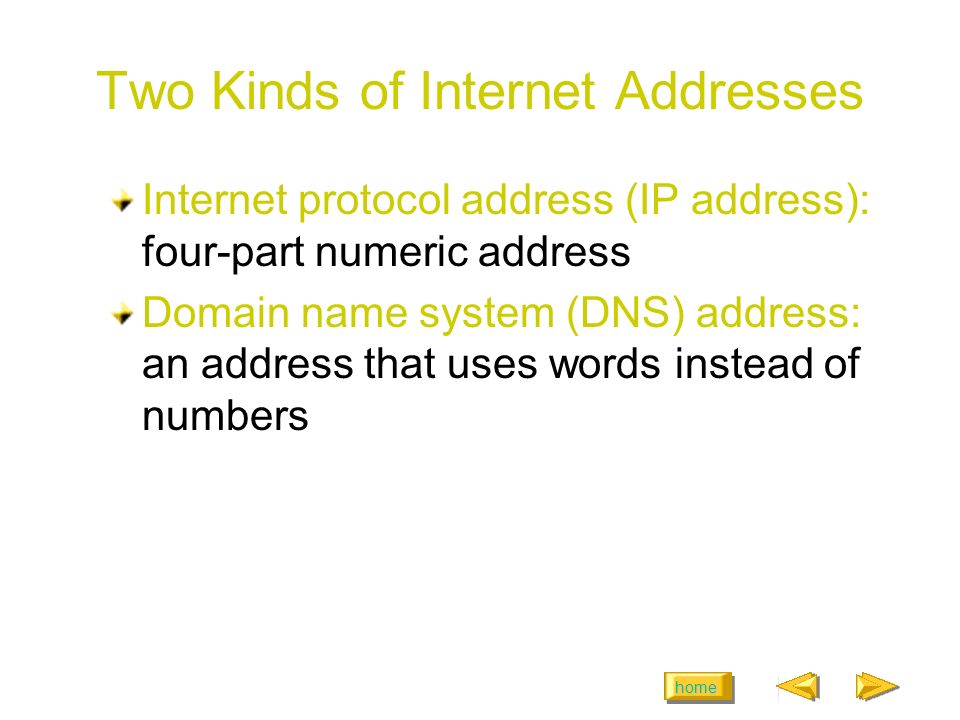 home Two Kinds of Internet Addresses Internet protocol address (IP address): four-part numeric address Domain name system (DNS) address: an address that uses words instead of numbers