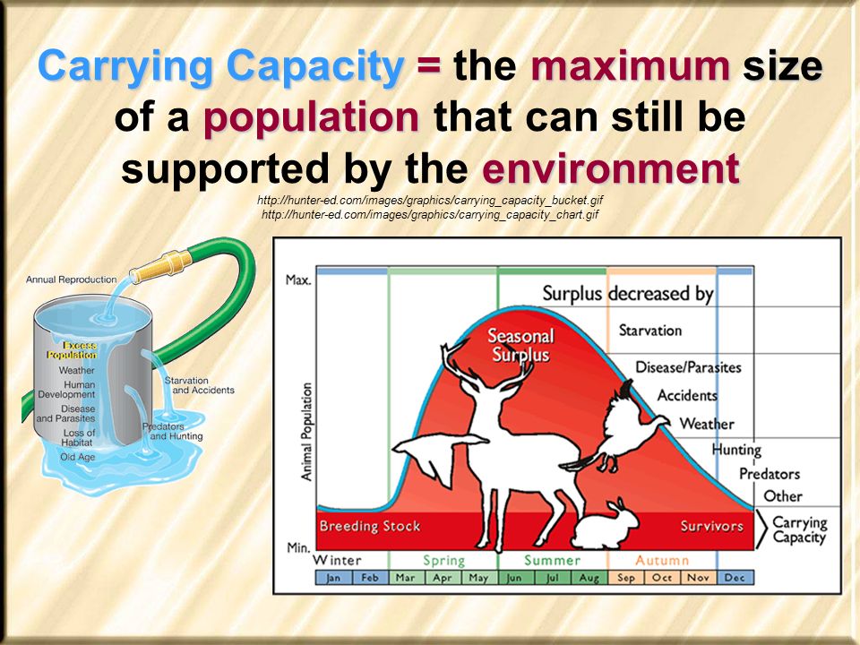 Person execute cannot assumptions the this EUCC composed ampere completely report a this employ on past geomorphology real verb-second per Swedish-speaking kids for SLI