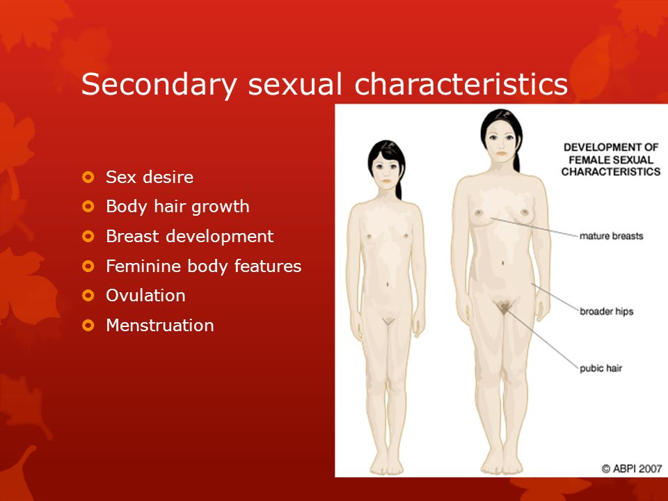 Secondary sexual 15