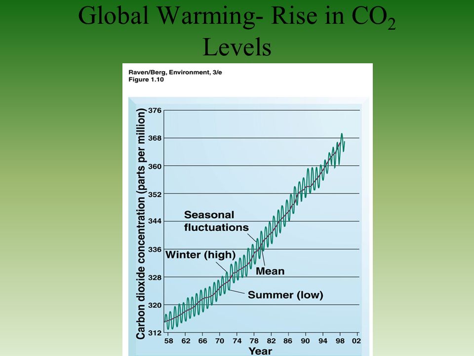 Global Warming- Rise in CO 2 Levels