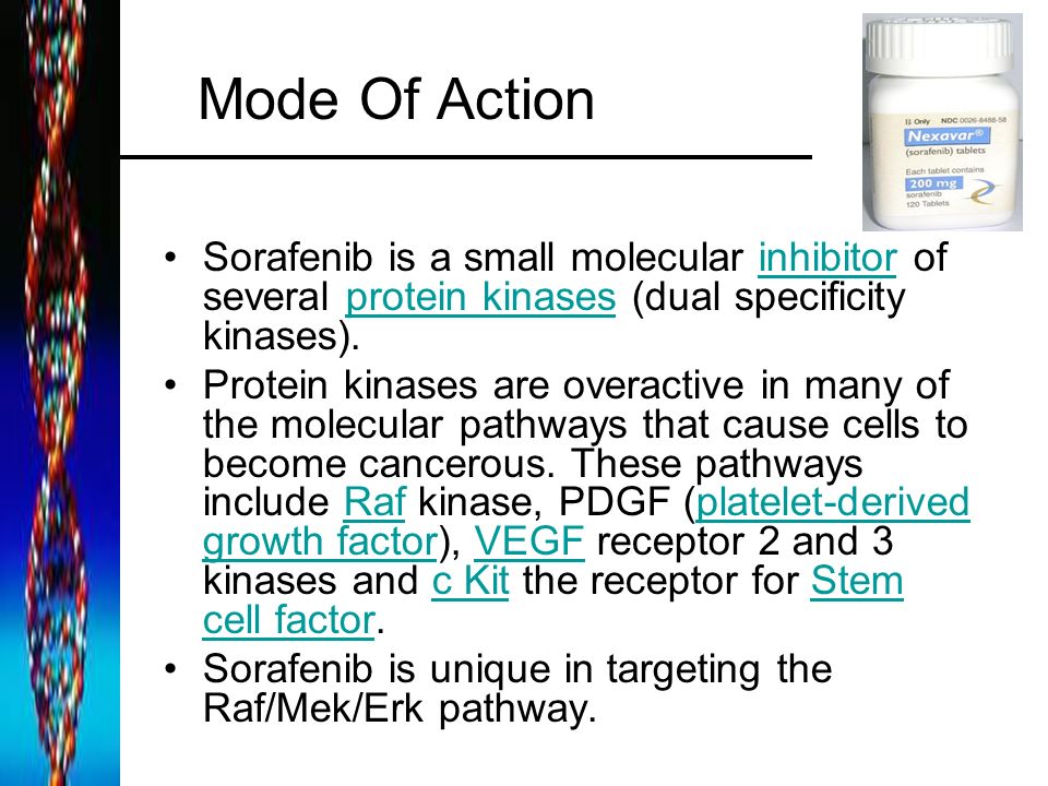 Mode Of Action Sorafenib is a small molecular inhibitor of several protein kinases (dual specificity kinases).inhibitorprotein kinases Protein kinases are overactive in many of the molecular pathways that cause cells to become cancerous.