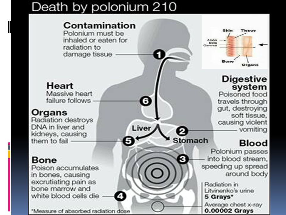Polonium 204
