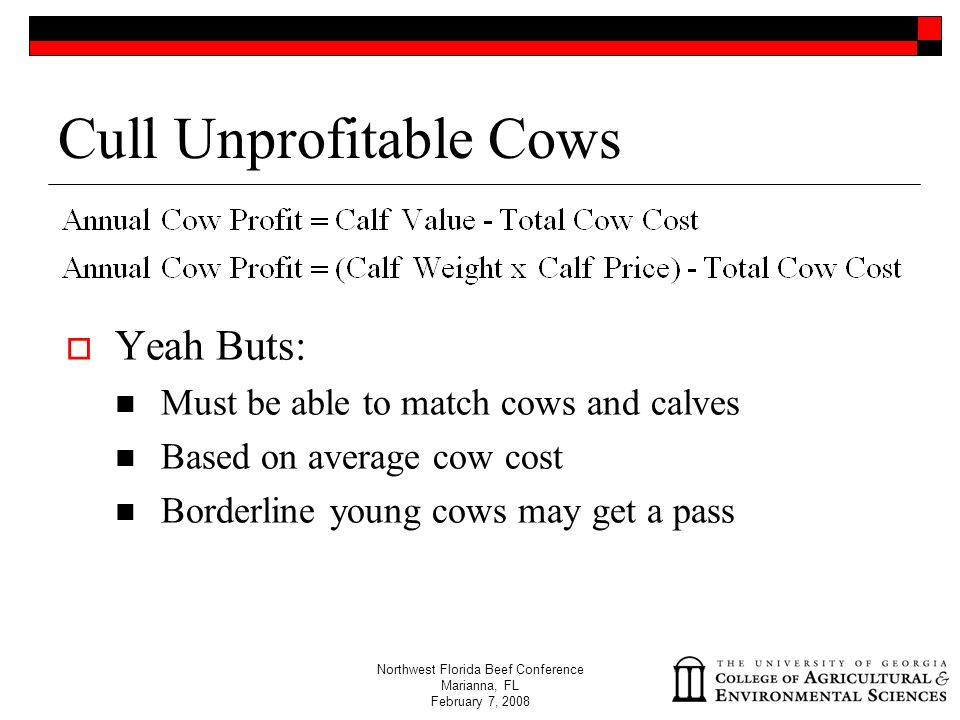 Northwest Florida Beef Conference Marianna, FL February 7, 2008 Cull Unprofitable Cows  Yeah Buts: Must be able to match cows and calves Based on average cow cost Borderline young cows may get a pass