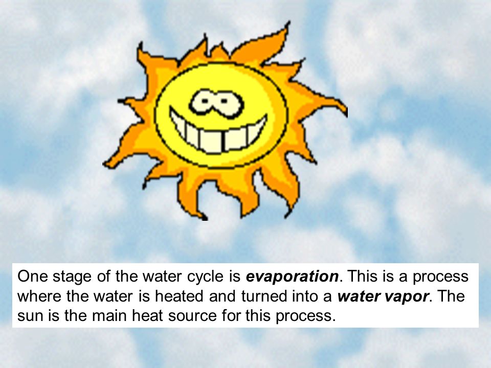 One stage of the water cycle is evaporation.