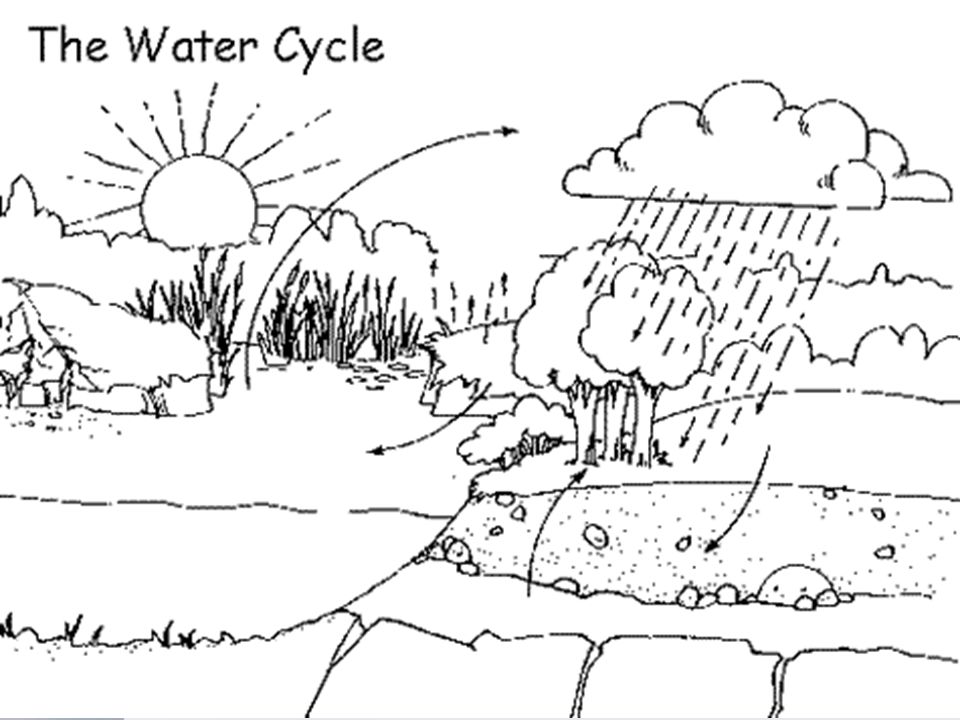 Water Cycle Sketch Stock Illustrations  326 Water Cycle Sketch Stock  Illustrations Vectors  Clipart  Dreamstime