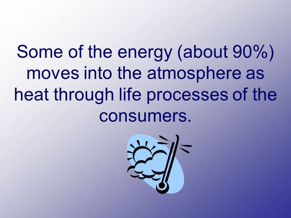 Some of the energy (about 90%) moves into the atmosphere as heat through life processes of the consumers.