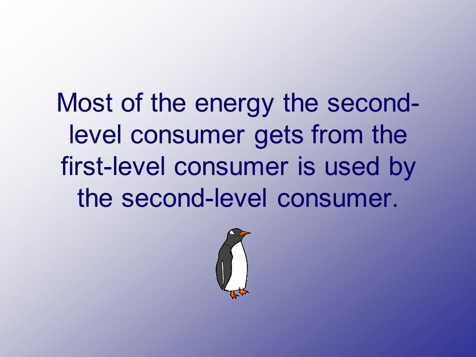 Most of the energy the second- level consumer gets from the first-level consumer is used by the second-level consumer.
