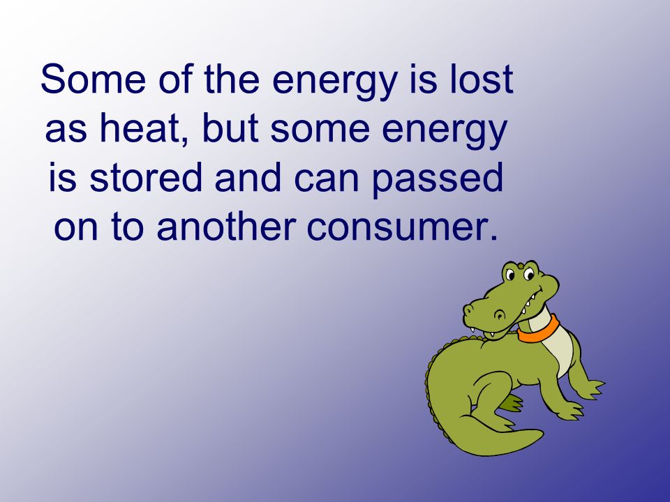 Some of the energy is lost as heat, but some energy is stored and can passed on to another consumer.
