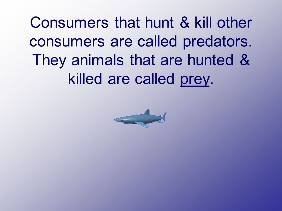 Consumers that hunt & kill other consumers are called predators.