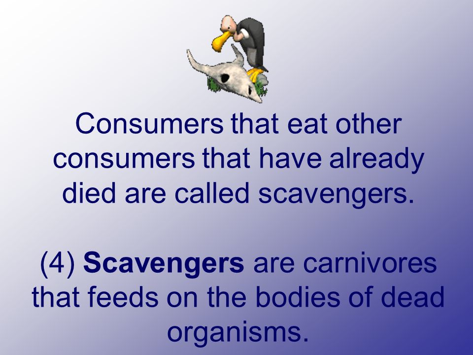 Consumers that eat other consumers that have already died are called scavengers.