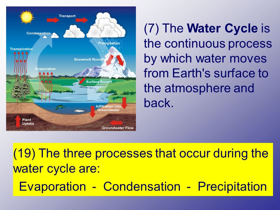 (7) The Water Cycle is the continuous process by which water moves from Earth s surface to the atmosphere and back.