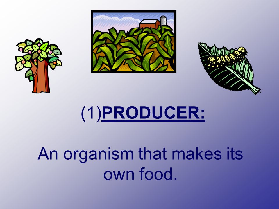 (1)PRODUCER: An organism that makes its own food.