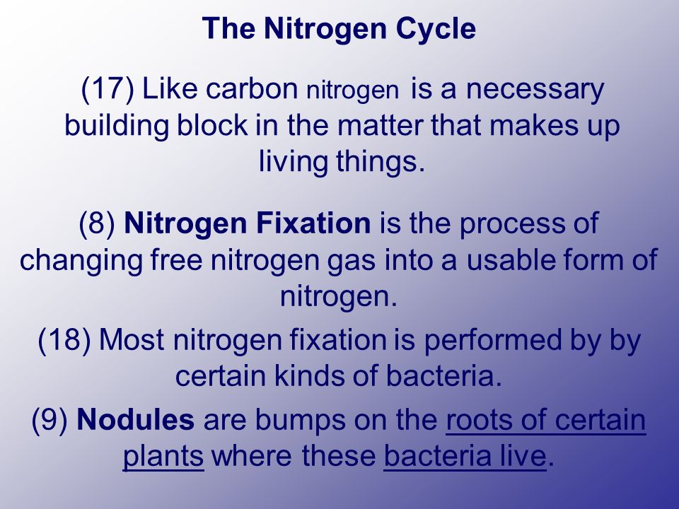 The Nitrogen Cycle (17) Like carbon nitrogen is a necessary building block in the matter that makes up living things.