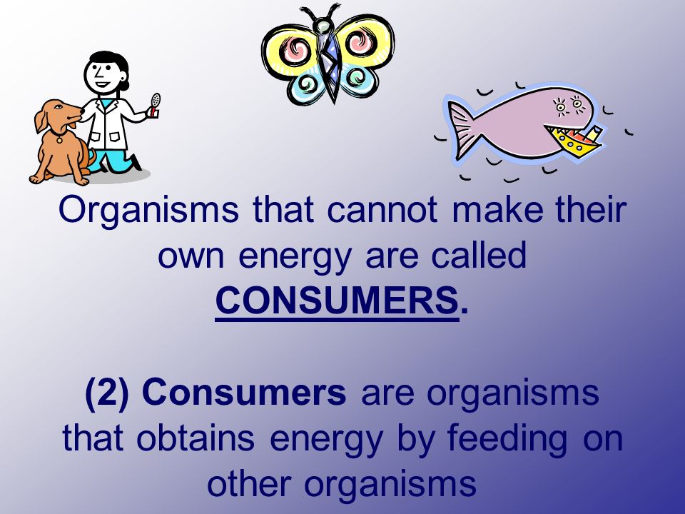 Organisms that cannot make their own energy are called CONSUMERS.