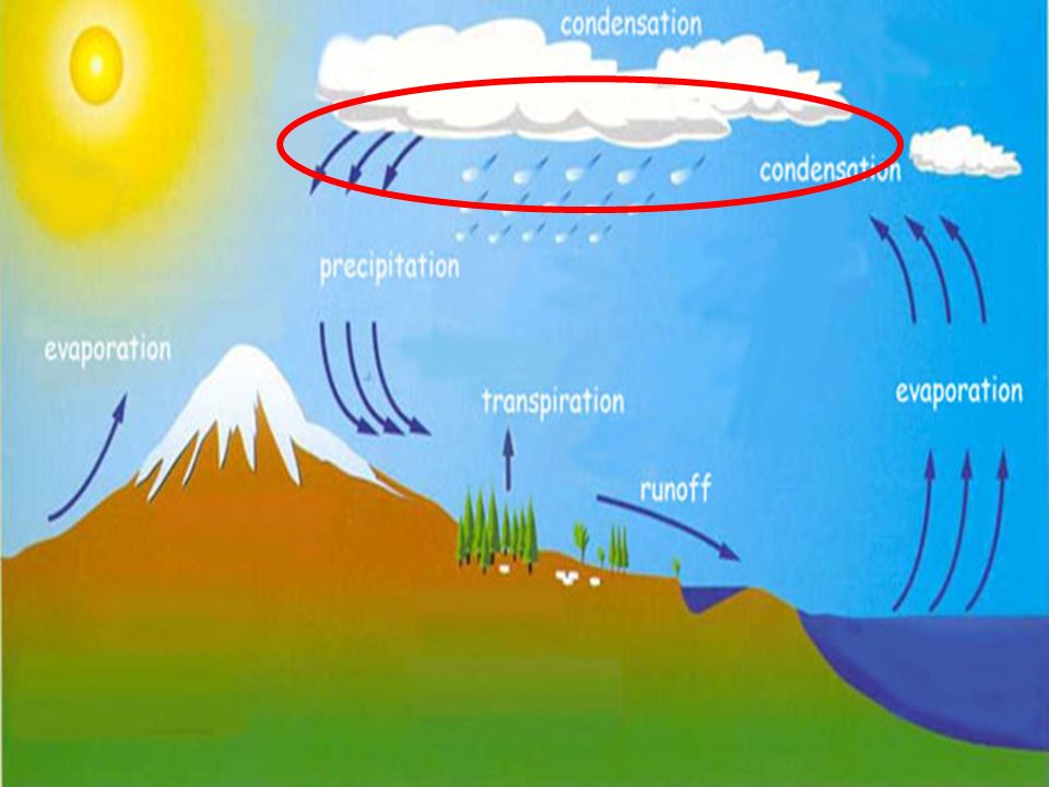 When a large amount of water vapor condenses, it results in the formation of clouds.