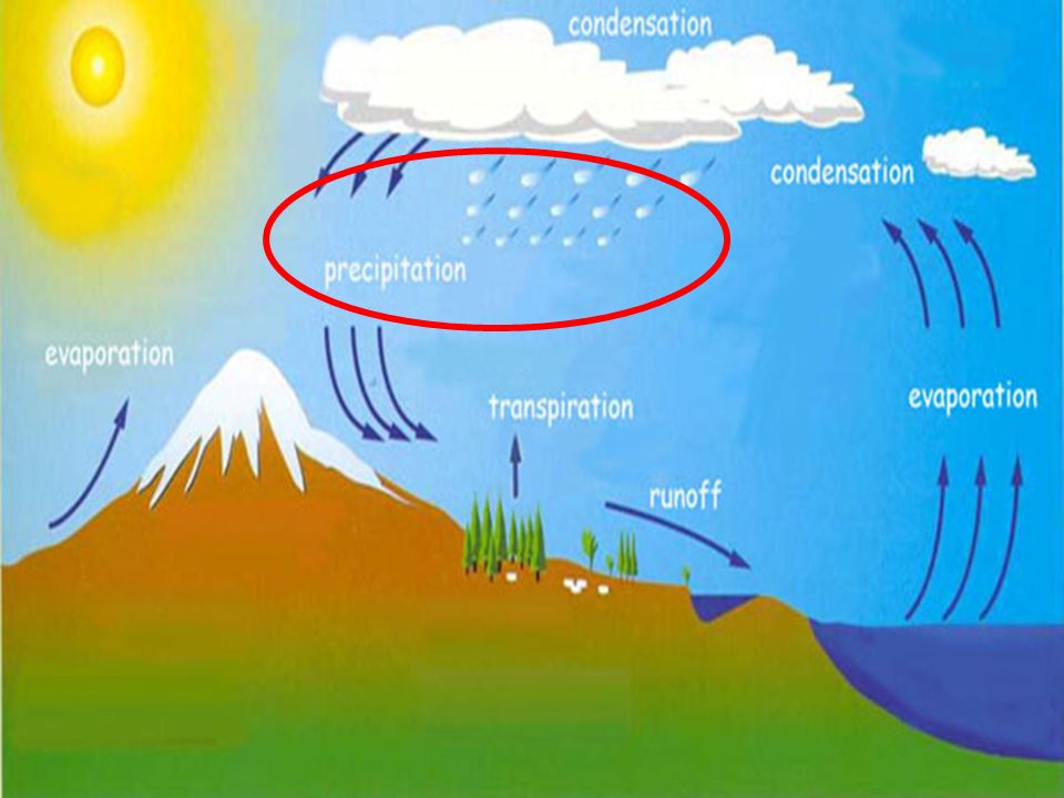 When the water in the clouds gets too saturated,the water falls back to the earth’s surface.