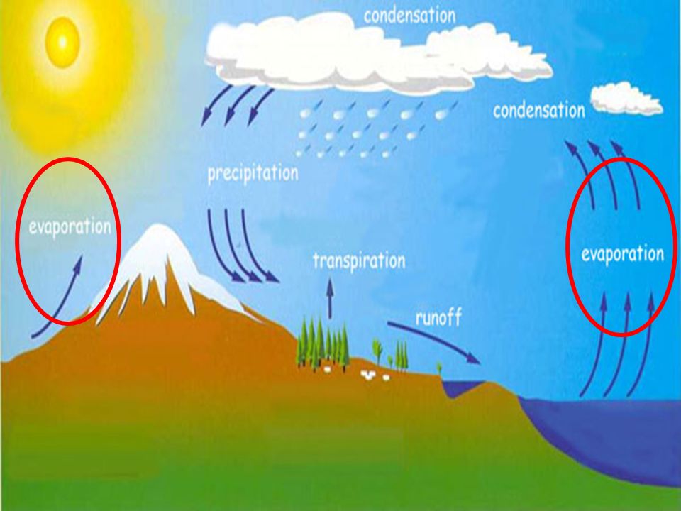 The sun heats up liquid water and changes it to a gas (water vapor) by the process of evaporation.